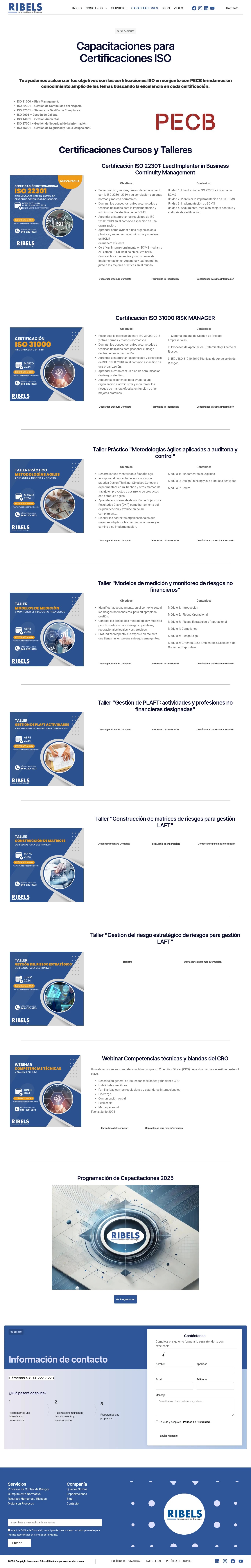 Ribels.com - Imagen 4