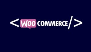 Excluir Una Categoría En Los Widget De Wordpress Woocommerce